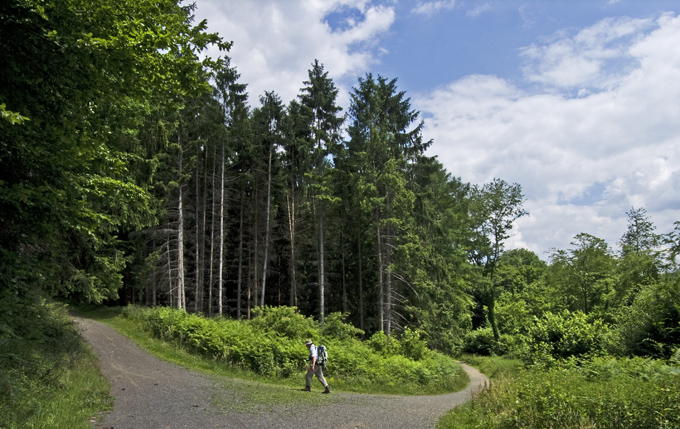 Wandern auf hohem Niveau heißt auf dem Rheinsteig: Auf einer Länge von 320 Kilometern geht es ganz schön bergauf und bergab. Dafür wird man mit wunderschönen Aussichten belohnt. Rheinsteig